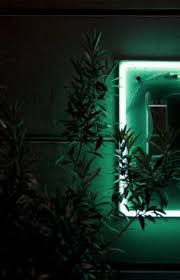 ｆｏｎｄｏｓ ａｅｓｔｈｅｔｉｃ dark green aesthetic green aesthetic green aesthetic tumblr