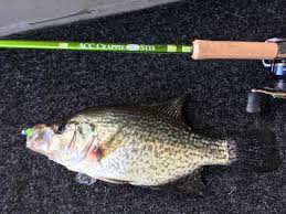 Check spelling or type a new query. Acc And Fork Tuesday Texas Fishing Forum