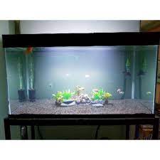 The tank is large enough to embrace diversity in the. 50 Gallon Freshwater Aquarium Online Discount