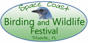 23rd Annual Space Coast Birding Wildlife Festival Brevard Cultural Alliance