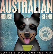 Australian Shepherd Coffee Company Graphic Illustration On Etsy Australian Cattle Dog Blue Heeler Cattle Dog Australian Cattle Dog