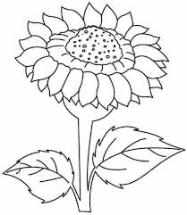 Tanaman bunga matahari saat ini banyak dibudidayakan berkenaan dengan potensi sebagai sumber pangan, bahan tanaman obat dan sumber minyak sayur. Free Sunflower Coloring Pages For Kids Free Coloring Sheets