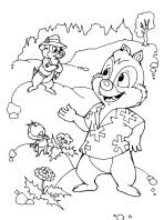 Chip and dale coloring pages. Chip And Dale Coloring Page