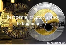 Millions unemployed, recessions, constant changing of inflation rates and, for those who you look for trends and you aim to buy low and sell high. Best Penny Cryptocurrency To Buy Now Cheap Altcoins With Huge Potential