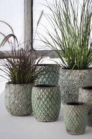 Pin On Plantes Pots