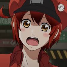 Pin On Hataraku Saibou
