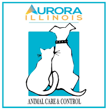 Over the years, angel adoption has helped thousands of expectant mothers from chicago, springfield, peoria and other illinois cities. Pets For Adoption At Aurora Il Animal Care And Control In Aurora Il Petfinder