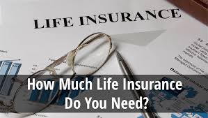 Maybe you would like to learn more about one of these? Michigan Mi Life Insurance Agents Janis Shunta Insurance