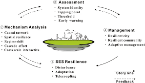 A Review Of Social Ecological System Resilience Mechanism Assessment And Management Sciencedirect