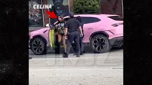 OnlyFans Model Celina Powell Arrested, Pink Lamborghini Surrounded by Cops