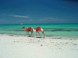 The inquest found that the police response to the tunisia beach attacks was at best shambolic and at worst cowardly after officers in the vicinity were found to be hiding or running in the opposite direction to the attacker. Tunisian Beach In Djerba Places To Travel Places To Visit Tunisia