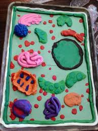 Check spelling or type a new query. How To Make A Plant Cell Model With Clay