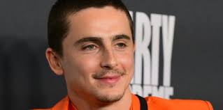 Guillermo del Toro's Pinnochio' triumphs at Annie Awards