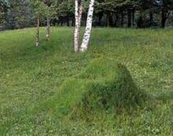 Diy Grass Chairs Organic Lawn Lawn Chairs Garden Furniture