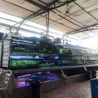 Usage and dosage must be observed and according to instruction. Xian Long Aquarium 12 Jalan Ringgit 23 11