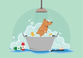 Free Vector Dog Having A Bath Download Free Vector Art Stock Graphics Images Dog Wash Dog Illustration Illustration