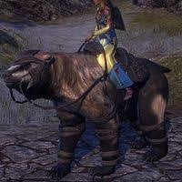 Personally, i don't think you'll be seeing people riding that mount very often. Online Mounts Ursines The Unofficial Elder Scrolls Pages Uesp