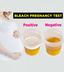 Since ancient times, when the pregnancy test strips and kits didn't exist, and a blood test wasn't an option, women have been doing pregnancy tests at home. Is The Bleach Pregnancy Test Accurate And Reliable