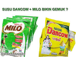 Silakan minum susu ini tiap hari menjelang tidur. Susu Dancow Full Cream Penambah Berat Badan Info Tentang Susu