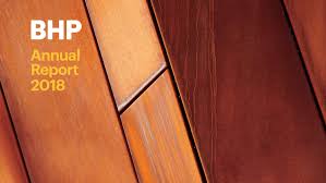 Council (iirc) • g4 sustainability reporting guidelines of global. Annual Report 2018 Bhp