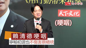 Image result for 游盈隆 哭泣選黨主席