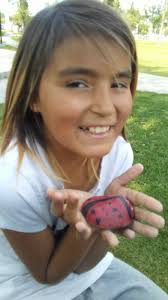 Found this at Victory Sports Ground today (26/11/2024). I left it there for  the next person. #socialbugsrocks