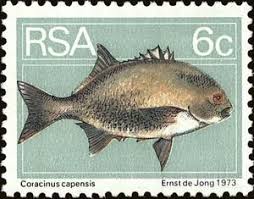 Stamp Galjoen Coracinus Capensis South Africa Definitives Flora And Fauna Mi Za 452 Sn Za 413 Yt Za 364 Sg African Animals Vintage Stamps Postal Stamps