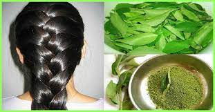 Here are a few tips to consider when applying serums and oils. How To Use Curry Leaves For Hair Growth