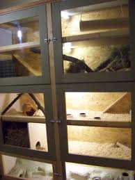 Diskutiere käfig in schrank bauen? Ist Dieser Kafig Gut Oder Zu Klein Fur 2 3 Degus Die Taglich Auslauf Bekommen Tiere Haustiere Haltung