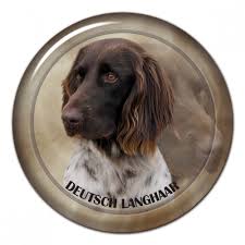 Image result for německý ohař dlouhosrstý