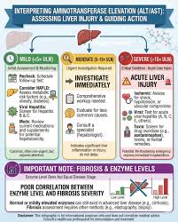 Image result for Liver Function Test Abnormality