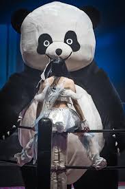 Andreza Giant Panda vs Mizuki from TJPW 😂