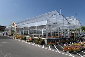 Most cacti grow slowly to moderately, in the early stages of growth it might take them 2 or 3 years to grow just a couple centimeters. Best Plants To Grow In A Greenhouse Page Sep Sitename