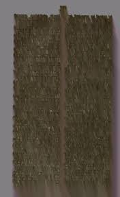 Image result for Isonema infundibuliflorum