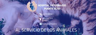 Hospital Veterinario Puente Alto