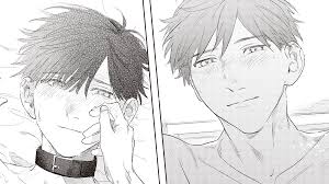 BL漫画(コミック)、小説レビューサイト【ちるちる】