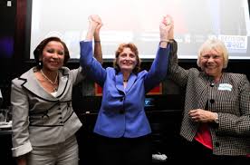 Dem machine holds strong in B'Heights Assembly race • Brooklyn Paper