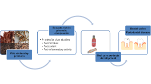 Troye sivan, grimes, christine and the queens usp: Antioxidants Free Full Text Research Advances In The Use Of Bioactive Compounds From Vitis Vinifera By Products In Oral Care Html