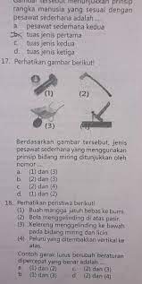 Sebutkan 4 keuntungan menggunakan pesawat sederhana! Perhatikan Gambar Berikut Berdasarkan Gambar Tersebut Jenis Pesawat Sederhana Yang Menggunakan Brainly Co Id