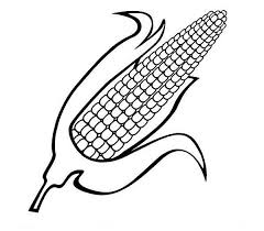 Corn on the cob is one of summer's tastiest, freshest treats, so of course, you want to figure out how to keep it fresh after buying it. 29 Corn Coloring Pages Ideas Coloring Pages Corn Coloring Pages For Kids