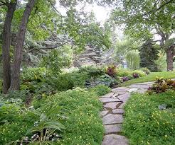 From flowers to ferns, choose spiderwort or tradescantia is a part shade—not deep shade—plant. Design Lessons From A Minnesota Shade Garden Better Homes Gardens