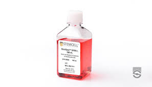 Maybe you would like to learn more about one of these? Stemspan Hematopoietic Stem Cell Media And Supplements