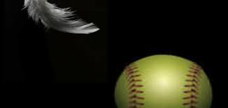 كيف يؤثر وزن الجسم في سرعة سقوطه موضوع