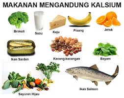 Check spelling or type a new query. En Savoir Culinaire Makanan Sehat Untuk Ibu Hamil