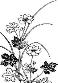 Leaf 687 Images Free Svg Image Icon In 2020 White Flower Png Flower Coloring Pages Vintage Flowers