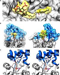 Последние твиты от the scp foundation (@scpwiki). Enzyme Promiscuity Engine Of Evolutionary Innovation Journal Of Biological Chemistry