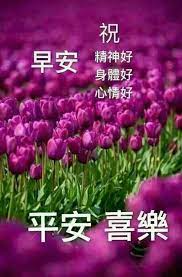 pin by david lee on 早安花 good morning greetings morning greeting good morning wishes