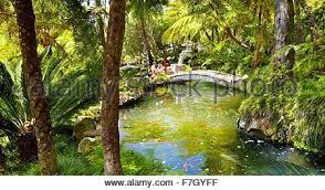 Monte Palace Tropical Garden Japanese Garden Monte Madeira Island Portugal Stock Photo Tropical Garden Garden Madeira