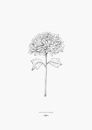 Inkylines Shop Chrysanthemum Tattoo Birth Flower Tattoos Chrysanthemum Flower Tattoo