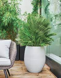 Avec une texture inégale et un toucher doux, ses couleurs varient d'un vert attrayant à des tons doux faisant d'iris l'une des gammes les plus polyvalentes. Cache Pot Tres Haut Selection Cote Maison